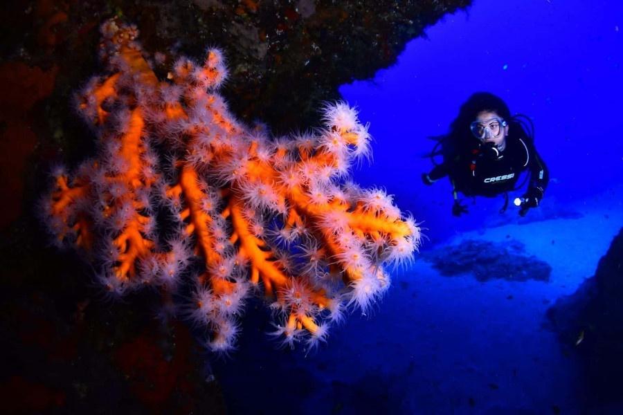 scuba-diving-lanzarote_new_1