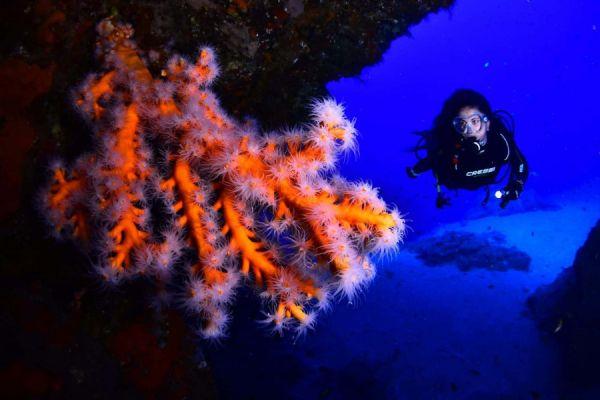 Buceo Lanzarote