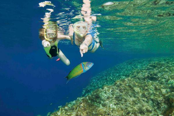 Snorkel Lanzarote