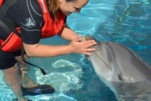 Interactúa con los delfines Lanzarote