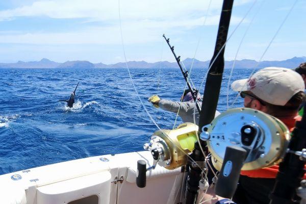 Pesca en Lanzarote de día