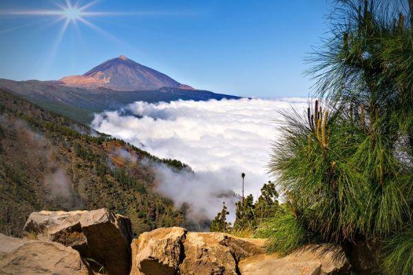  Teide Tenerife Tour Medio Día