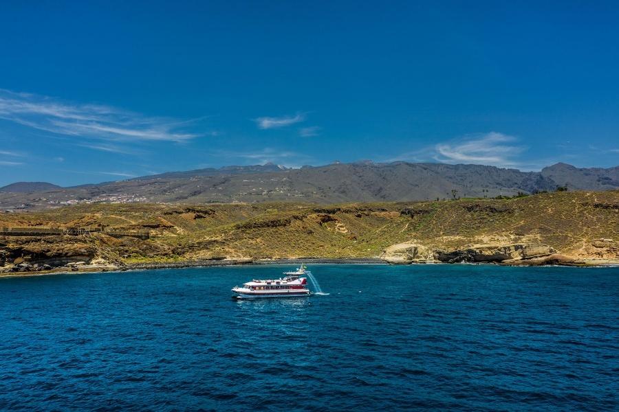 whale-watching-tenerife_2_l-1