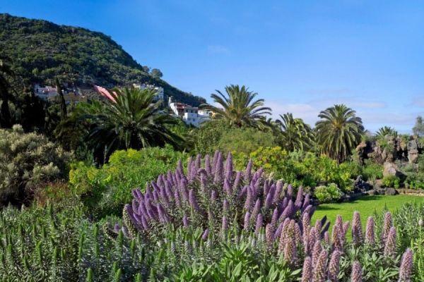 Excursión al volcán de Gran Canaria, paquete de Las Palmas y jardines botánicos