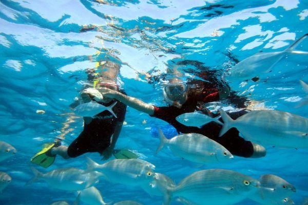 Snorkel Fuerteventura Buceo