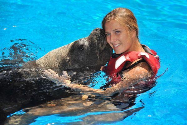 Oasis Park Swim with Sealions