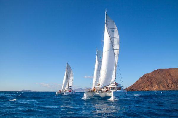 Tour Los Lobos en catamarán 4 horas Delux