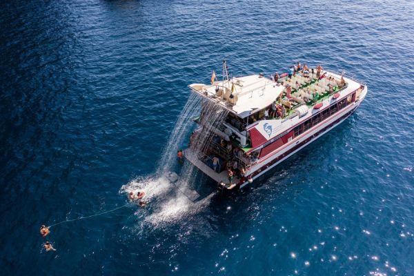 2 horas Ballenas en Tenerife