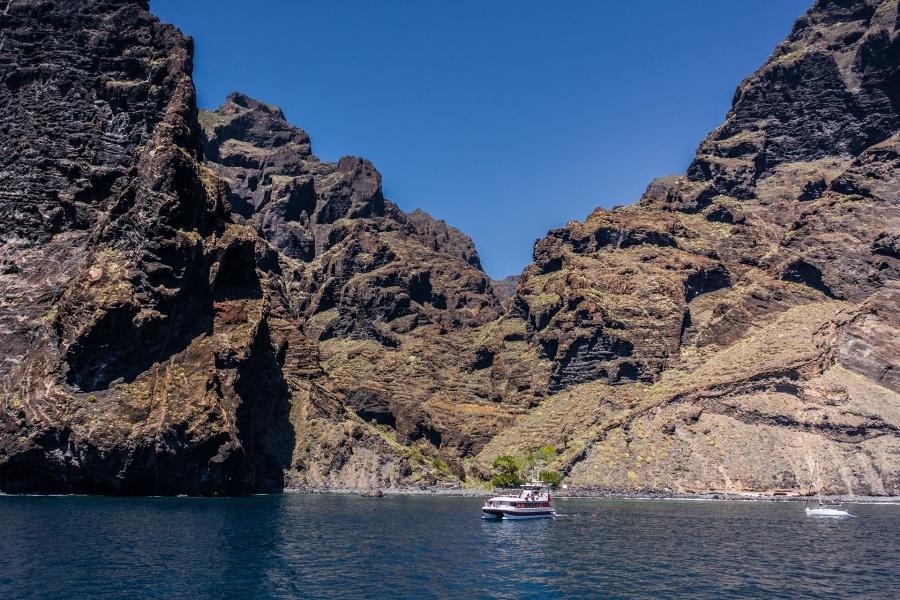 whale-watching-tenerife_11_l