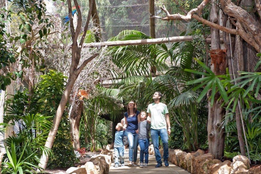 jungle-park-tenerife-day-tour3_l