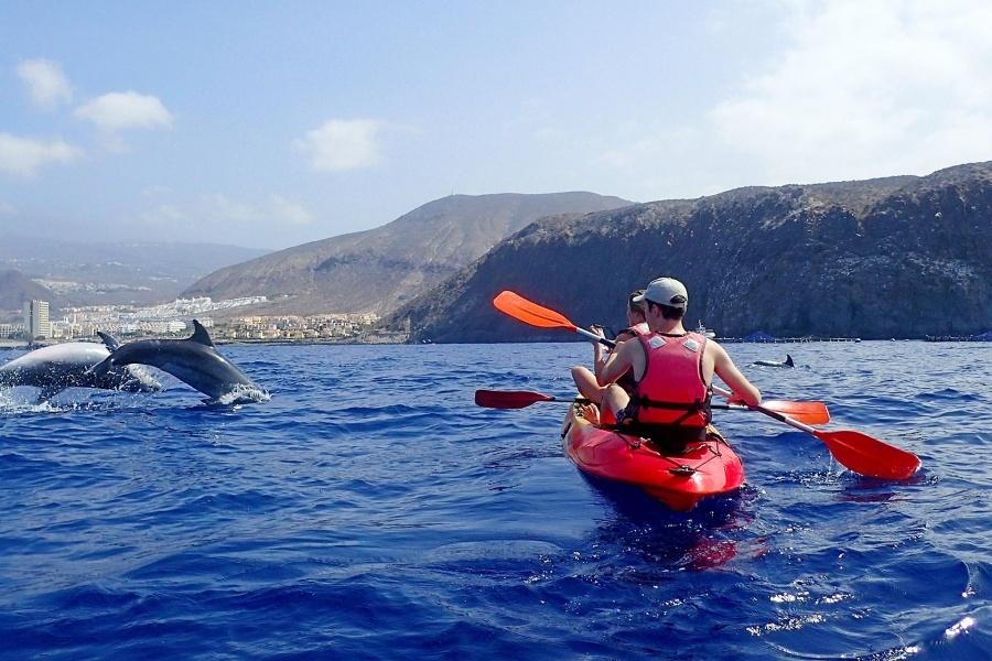 mustcat-catamaran-tenerife-excursion3_l