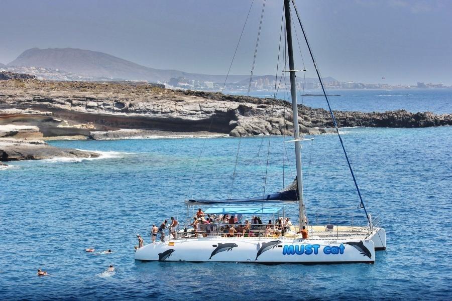 whale-watching-tenerife_3_l-1_l