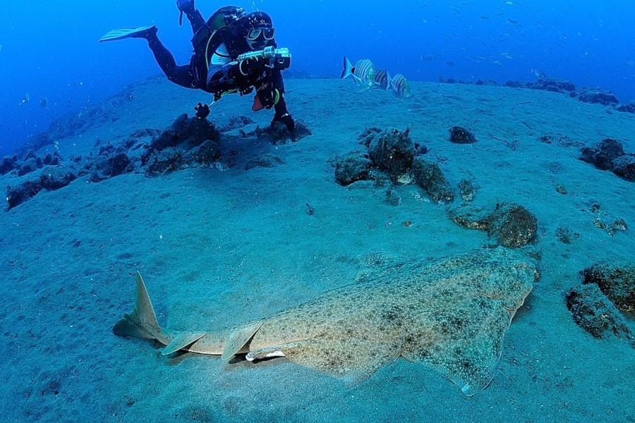 scuba-diving-lanzarote_new_4