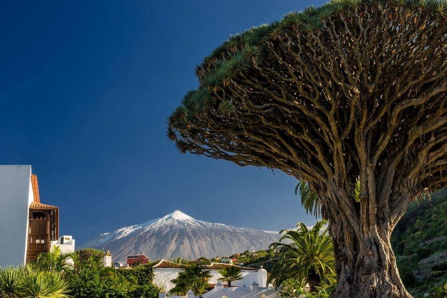 teide-tenerife-tour-half-day4_l