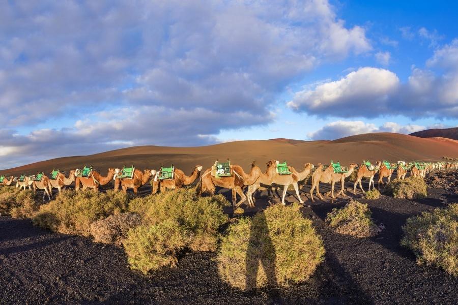 timanfaya-lanzarote-grand-tour_5