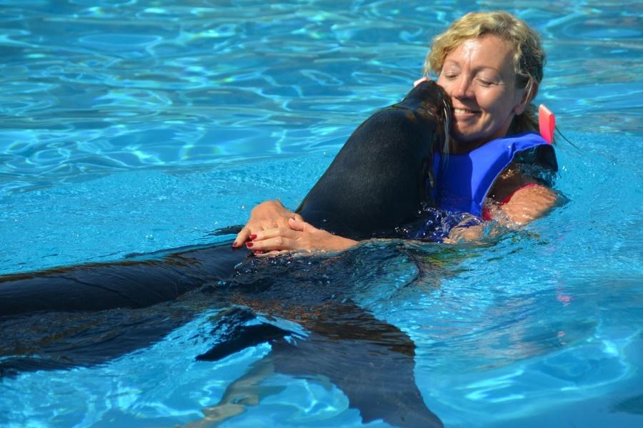 rancho-texas-swim-with-sea-lions_5